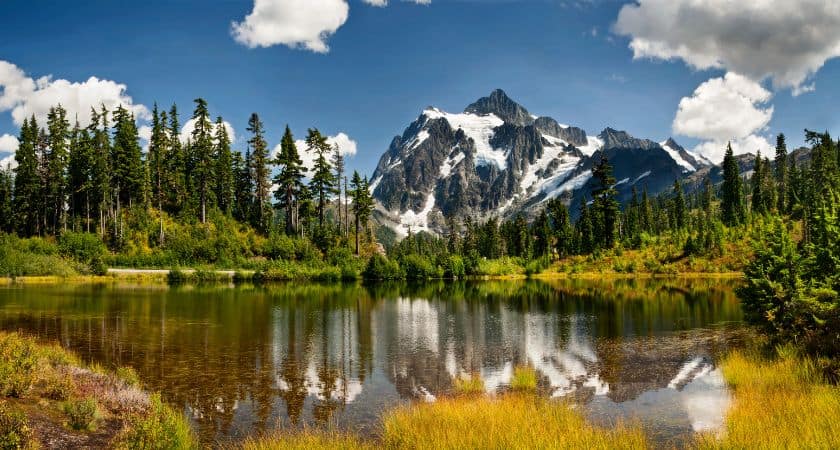 Mount Baker National Forest