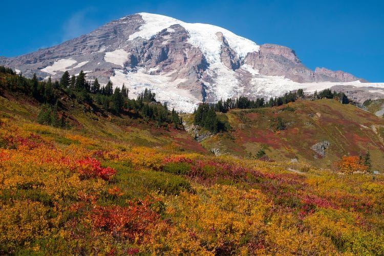 Mount Rainier