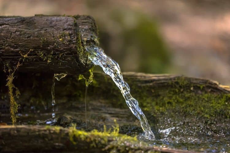 Mountain water spring