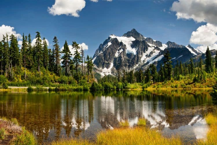 Mt Baker National Forest