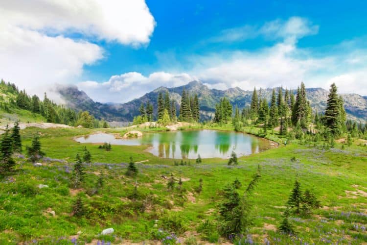 Naches Peak Loop Trail