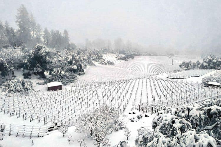 Napa Valley 1