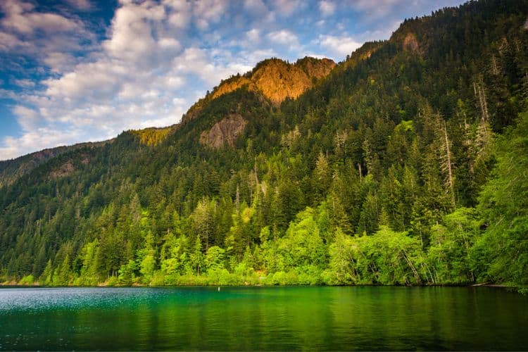Olympic National Park