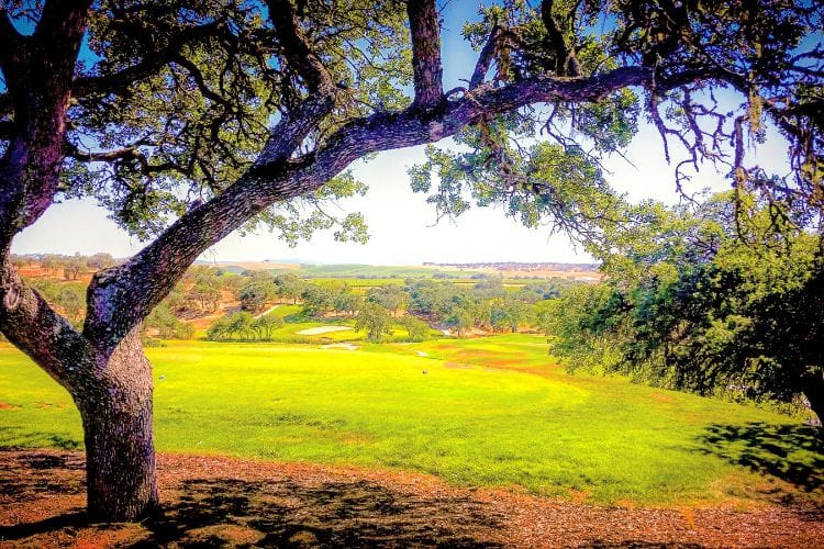 Paso Robles