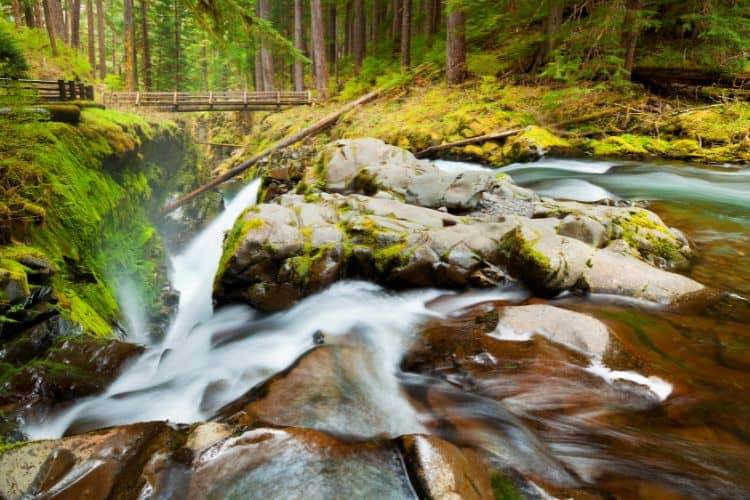 Sol Duc Falls