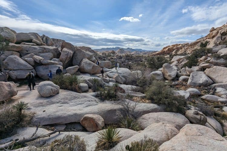 Vista near Barker Dam