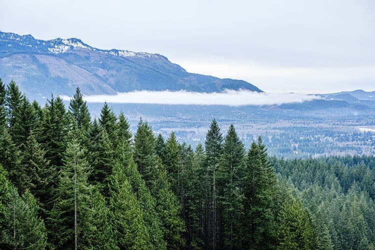 Wallace Falls State Park