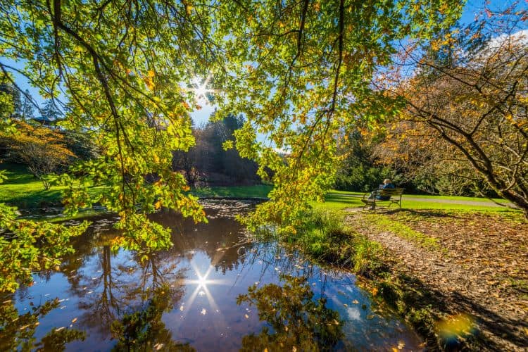 Washington Park Arboretum