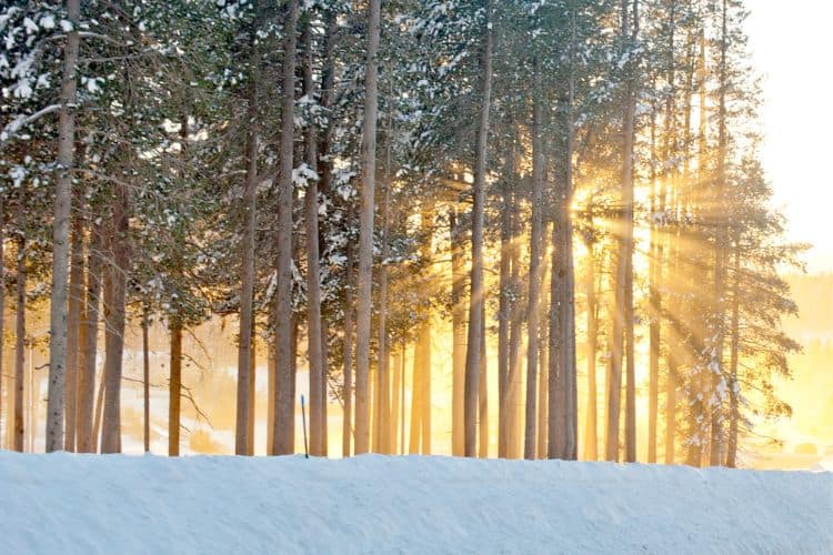 When does it snow in California