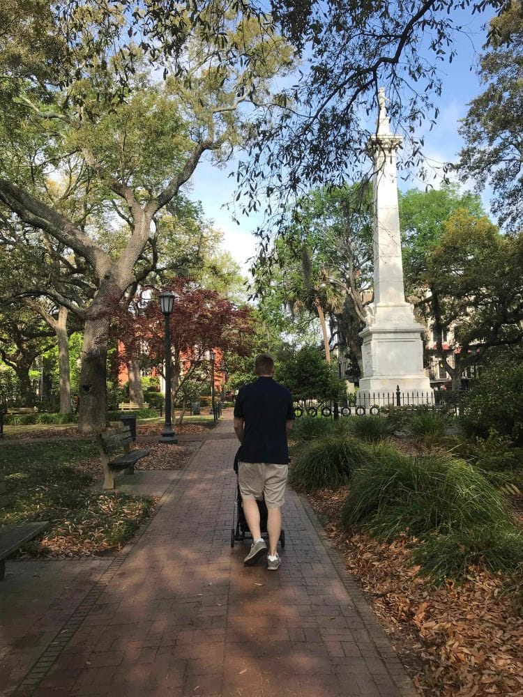 walking in the Savannah park