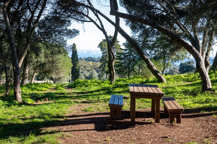 Banco en un camping de Lisboa en medio de la naturaleza