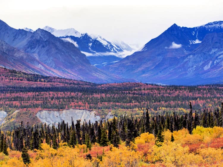 Hiking in Anchorage with kids