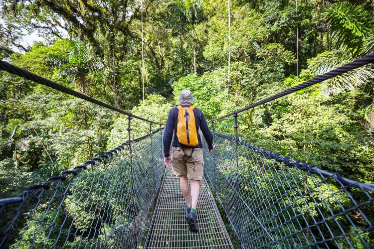 Monteverde Cloud Forest in Costa Rica