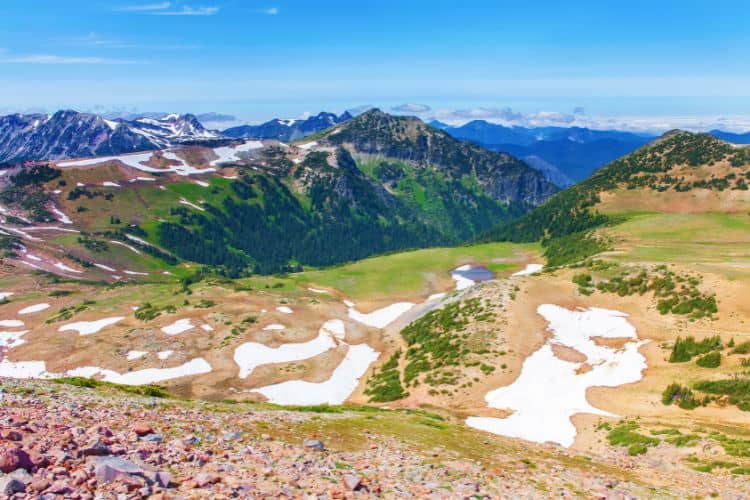 Mount Rainier National Park in summer