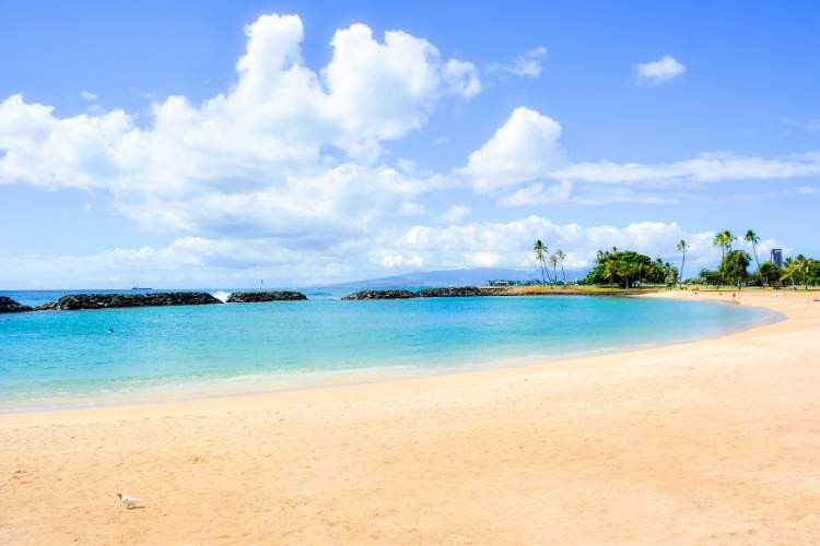 Ala Moana Beach Park Oahu