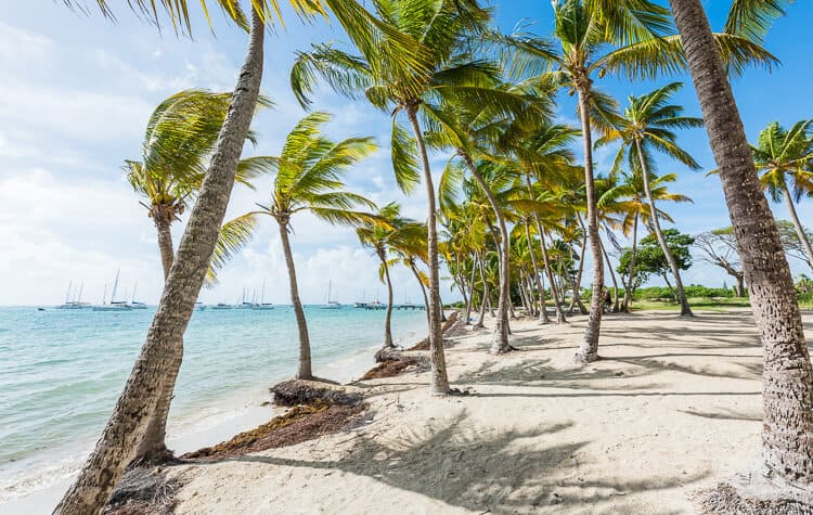 Anse Champagne en Guadalupe