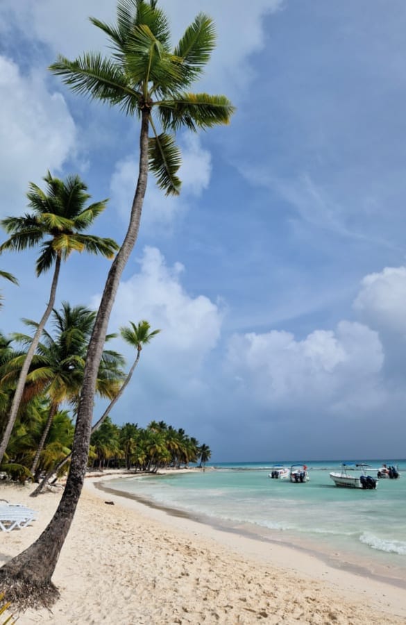 Isla Saona