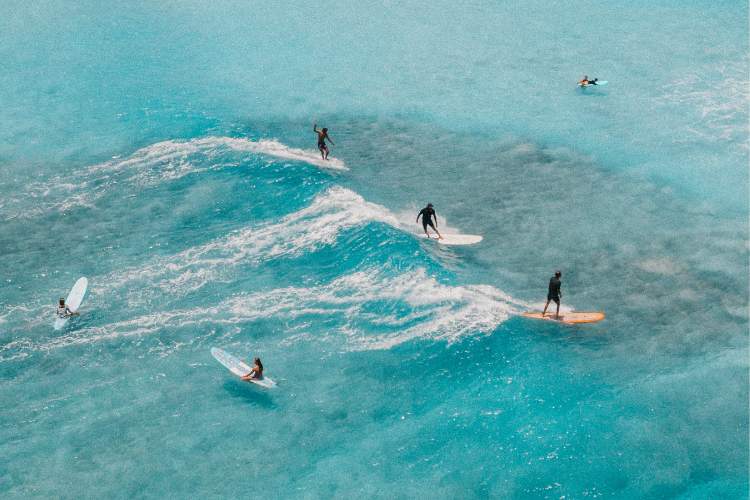 Learn to Surf in Hawaii