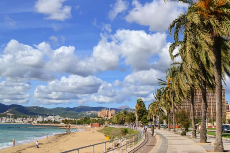 Paseo Maritimo Palma de Mallorca