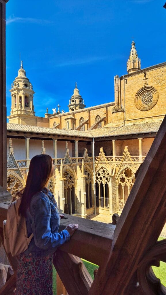 Catedral de Pamplona Navarra 577x1024