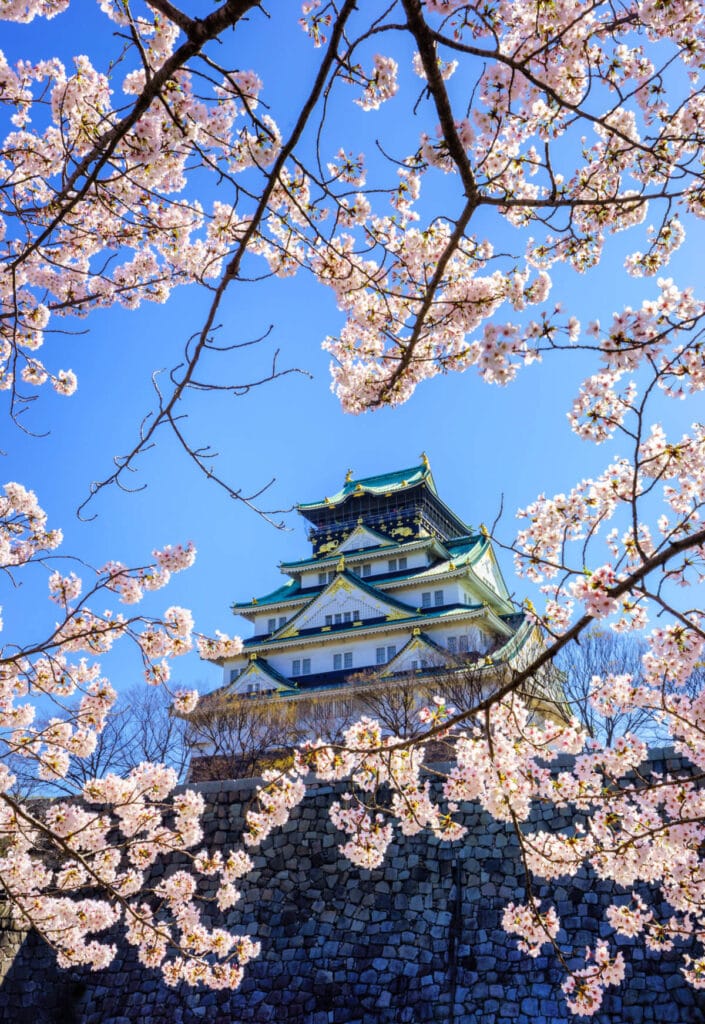 Osaka day trip from Kyoto 1 705x1024